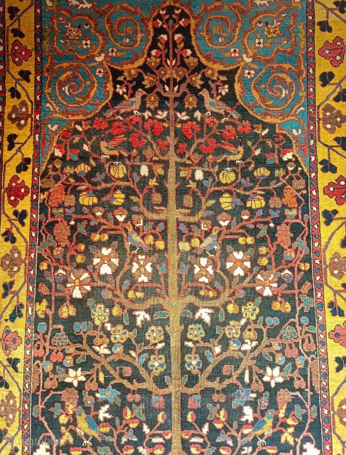 No filters...but only pure beauty of Persia.

Antique Bakhtyari rug, collector piece in mint conditions 

Size 2.93mt. x 1.45mt

More info and pics: mail: asolokilim@gmail.com https://www.instagram.com/asolo_kilim_gallery/
Ask about this

       