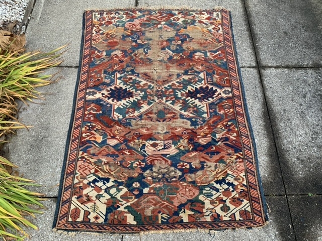 Caucasian Seichur Kuba, late 19th century, 3-6 x 5 (107 x 152), rug was hand washed, worn, holes, end loss, ID painted on back, plus shipping.       