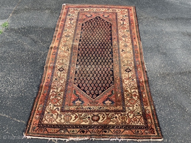 North West Persian, Kurdish, late 19th century, 4-2 x 7-2 (127 x 218), rug was hand washed, small birds, dragon border, wear, ends need little work, edges need little wrapping, small white  ...