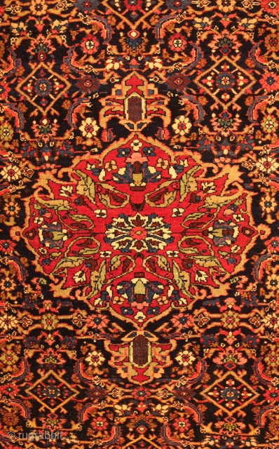 Bijar Rug, early 1900s.  Wonderful Frangi border with a beautiful green.  Central medallion with pendants over a field full of florals.  Very soft wool.  134 x 211 cm 