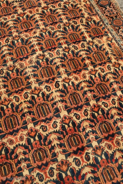 Zili Sultan rug, 19th century. It has all good colors and extraordinarily soft wool. It feels like pashmina to the touch similar to some great Afshar rugs.   142 x 192  ...