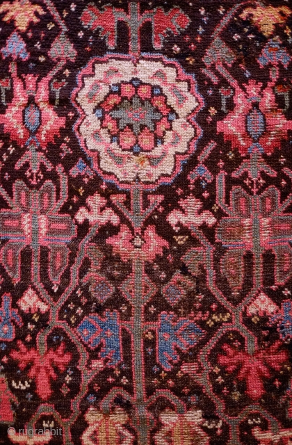 Sauj Bulak Kurdish Rug, Late 19th Century.  All great Sauj natural colors on a rich dark ground.  Safavid derivative floral motifs and Kashmir shawl-like borders.  Lower pile in the  ...