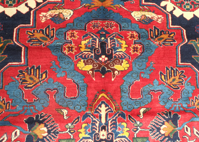 Shirvan cloud band carpet, early 20th century. This beauty is a real gem. The cloud band is finely drawn preserving the detailed style of early cloud band rugs. The colors and wool  ...