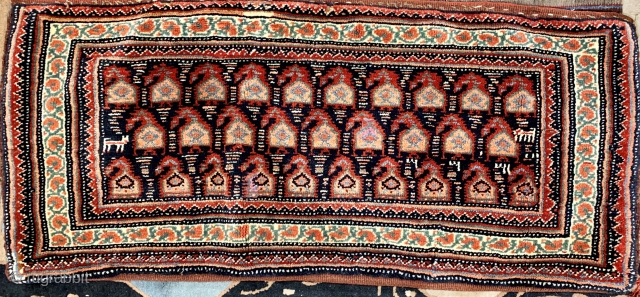 Antique Persian Veramin (Varamin) torba, complete with original flat woven back.  In excellent condition.  Please ask for additional photos.            