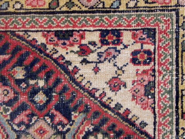 Antique Persian Ferahan carpet, circa 1900, with the legendary apple green borders, with squarish format.   59" by 70".  Condition as shown (end reduction, edges recast, wear in the herati  ...