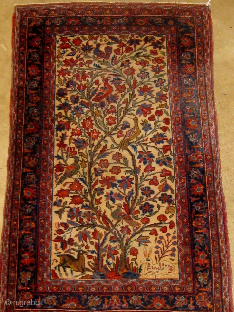 Circa 1910 small Kashan pictorial tree of life carpet or poshti, featuring deer and birds, in overall good condition, beautiful silky wool, and very tight weave.  Over two feet by 4  ...