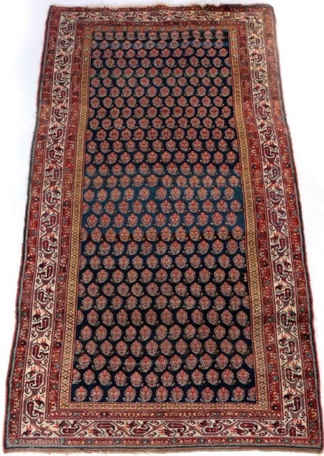 Antique Kurdish rug, Bidjar area, circa 1900-1910. 4'8" by 9'4".                       