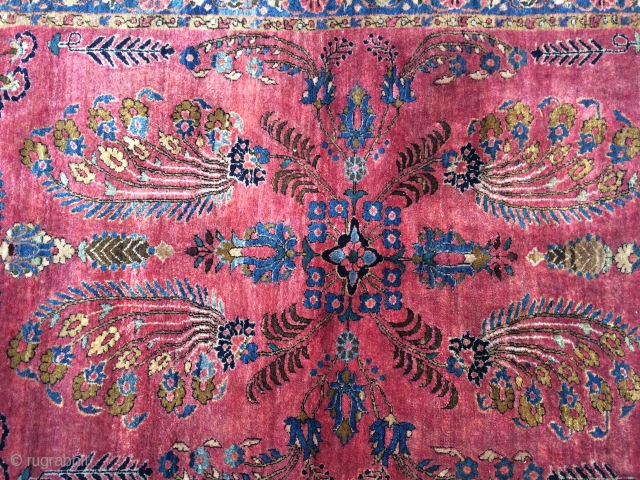 Fine quality antique Sarouk with uniformly thick velvety wool, decorative sparse design, and tight fine weave. Estate find. Needs wash. Size is around 3.4x 4.9 ft.       