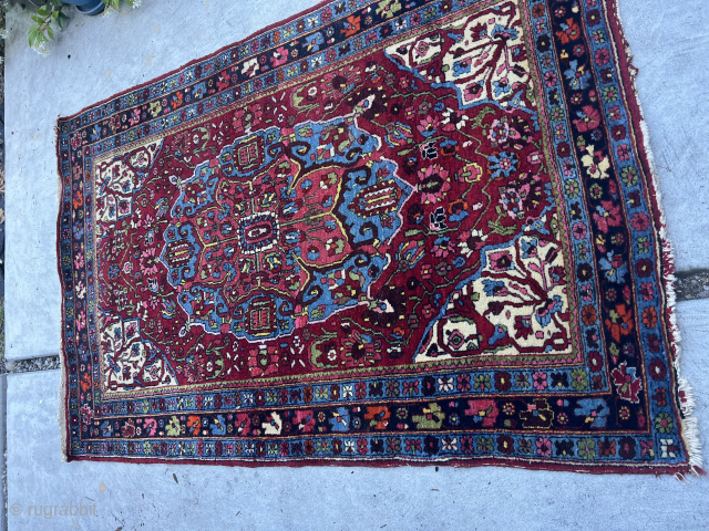 Vintage Bidjar rug from 1940s in good condition with no condition issues. Freshly washed. Ends need to be secured.good weave and pliable. 63"x42" (5'3"x3'6").         