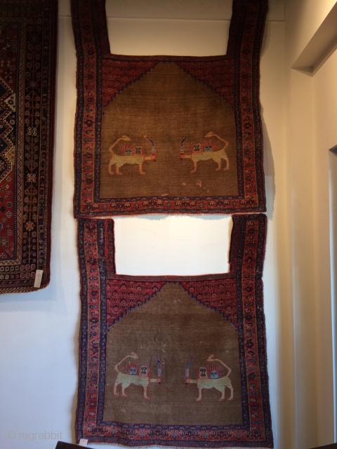 Antique Khorrossan Horse Cover - Pair. Excellent condition with some old restoration.Quite unusual.                    