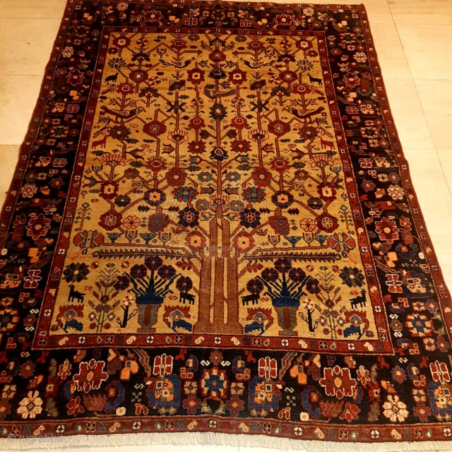 Antique Neyriz Rug
Size: 200x148cm
POR                             