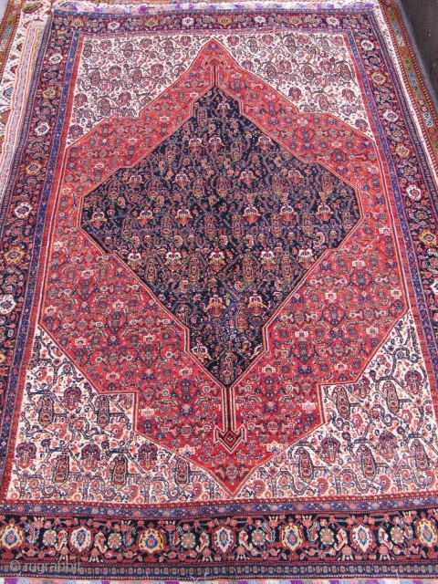 Antique Seneh rug

Fine quality

210x143cm

P.O.R                             