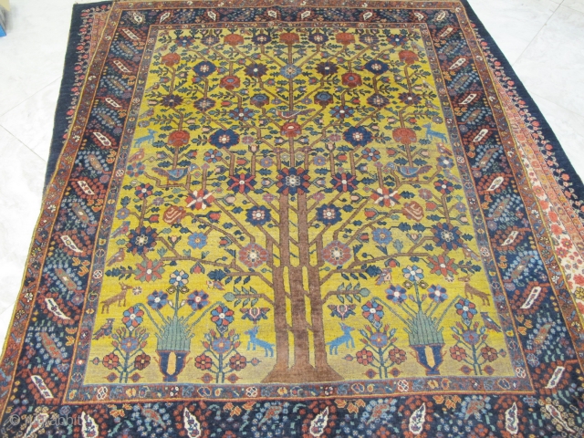 Antique rare Neyriz rug with tree of life design 

Circa 1900, pure wool

$1260  SOLD

                  