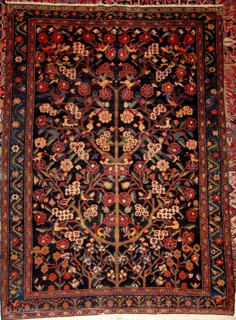 Antique Bakhtiyari rug

Size:270x190cm

P.O.R                              