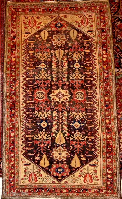 Antique Malayer rug


Circa 1920

290x170                             