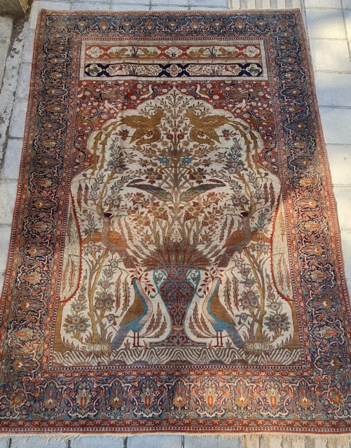 Antique top quality Kashan , Atash Oqlo rug.


P.O.R                         