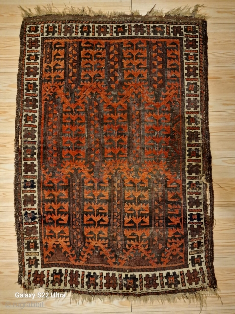 BALUCH
siz:110*79
MATERIAL:WOOL
AGE: IN 1880
Please send me directly mail info@davoud.com                         