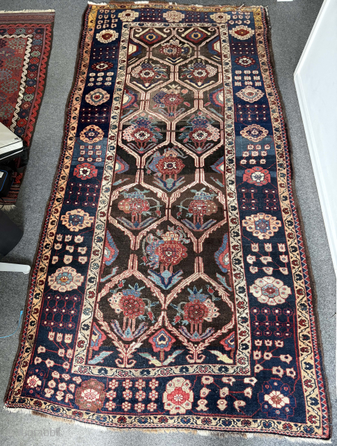 Old village Bakhtiari with a fantastic lively flowerpot pattern and beautiful abrash - not you your run-off-the-mill variety. Published in Willborg, Peter: "Chahâr Mahal va Bakhtiâri, Including the Feridân Area. Village, Workshop ...