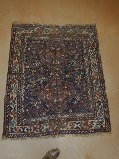 Khamseh Bird rug 
4.1x4.10
all wool and natural dyes 
late 19th 
                      