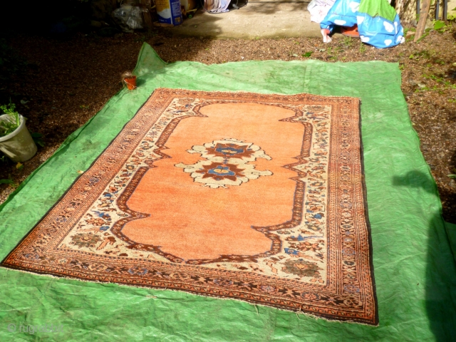 Lovely antique Bidjar rug, 180cm x 155cm. Nice squarish format, harking back to Afshar ancestors. 

Great palette of organic colours, including: ice blue (abrashed), olive green, rust red, brown, mustard yellow, ivory,  ...