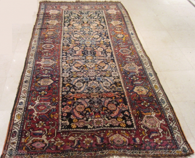 rug no:	79
size	:	255x140cm
type	:	antique kurdi-souj Boulagh,1900
origin:	persia
design	:	classic palmette and rosette patterns
content	:	wool on wool


North west persian kurdish rug, the field design, with emphasis on the repeating rosettes is a glimpse of the original inspiration for the  ...