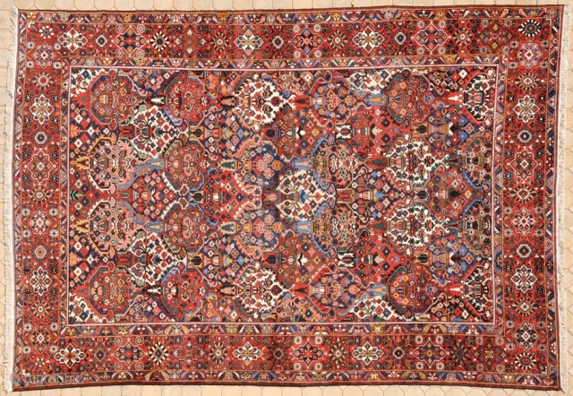 RUG NO : 8  sold -sold- sold
 
SIZE : 534 x 381 
 
TYPE : Antique 1910 
 
ORIGIN : Iran 
 
DESIGN : Bakhtiari 
 
CONTENT : Wool on cotton  ...