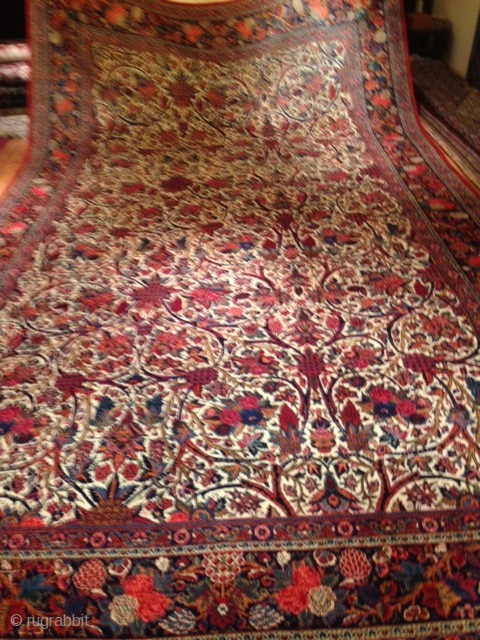 RUG NO	:	84
SIZE	:	315x522cm
TYPE	:	Qazvin circa 1910
ORIGIN	:	iran Qazvin  city
DESIGN	:	
CONTENT	:	kork wool
BACKGROUND COLOUR	:	ivory
BORDER COLOUR	:	multi

PRODUCT DESCRIPTION

pretty Qazvin carpet.fine and sturdy.
shiny  kork wool,very hard to find.
real Qazvin not a kashan or otherwise.
      