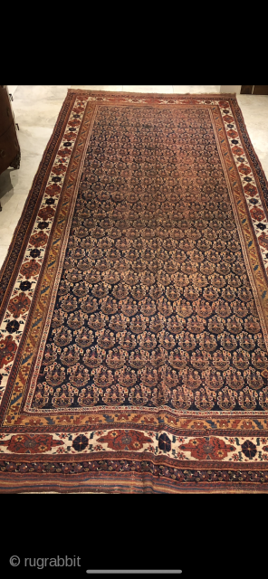 Amazing  borders and format very antique Afshar .clean and ready to be enjoyed.generous size :430X195 cm available in London             