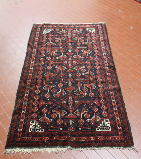 Salar Khan Baluch
wool on wool fine knotted
Slightly reduced in on head. In general, very soft wool, professionally washed
size cm 165x96
for other pictures, please ask