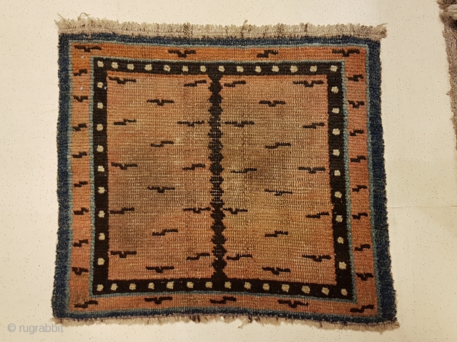 Tibetan tiger mat. Small, cute, rare.                           