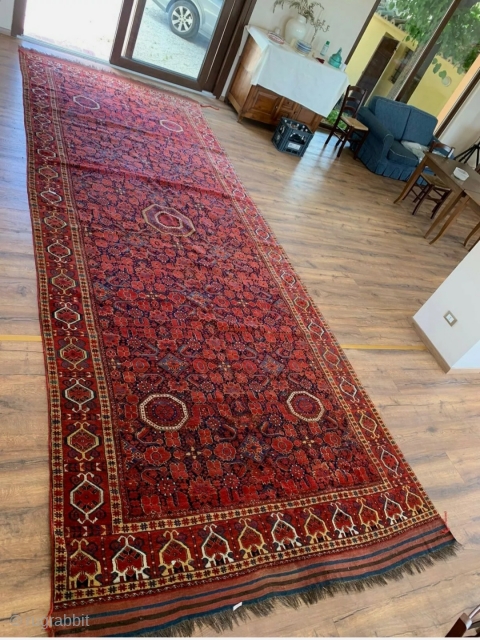 
Magnificent example of Beshir main carpet from the 19th to early 20th century.

Vivid colors and very elegant. Professionally washed.

Large format, rare and in excellent general condition.

For other images, please do not hesitate  ...