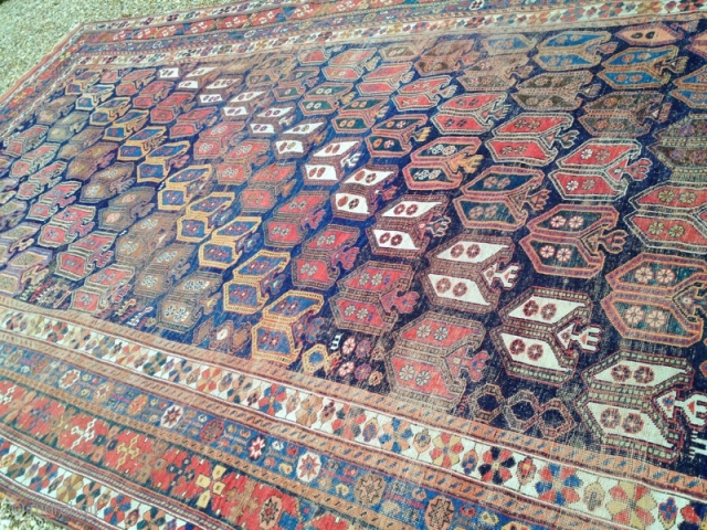 Lovely old, South Persian Afshar carpet. Afshar carpets of any size are unusual ... and this antique piece is 16'.8" x 9'.4" Condition, uneven wear but still has original kilim ends and  ...