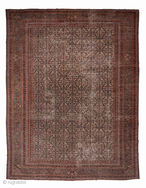 Mahal Carpet

13.6 x 18.0
4.14 x 5.48

The ivory field shows a small scale, close Herati allover pattern within a rosy brown turtle palmette border and minors patterned with two styles of boteh ornament.  ...