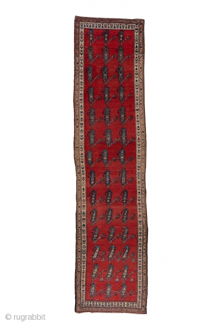 Malayer Runner

3.7 x 14.5
1.12 x 4.41

The brisk red field displays rows of slightly leaning slender floriated botehs, three to a line in a clearly textile-derived pattern. The cream main border of this  ...