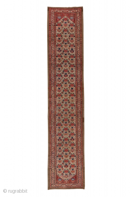 Hamadan Runner

3.6 by 17.0
1.09 x 5.18

Three offset columns of disjoint red roses  and other flowers, along with a few tiny birds, decorate the old ivory field of this rustic runner from  ...