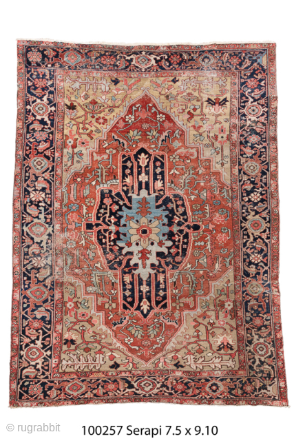 Antique Persian Serapi Carpet, Circa 1900. Bold elongated medallion set within a warm coral-red field surrounded by a richly detailed navy border.

7'5" x 9'10"

Item No:100257
        
