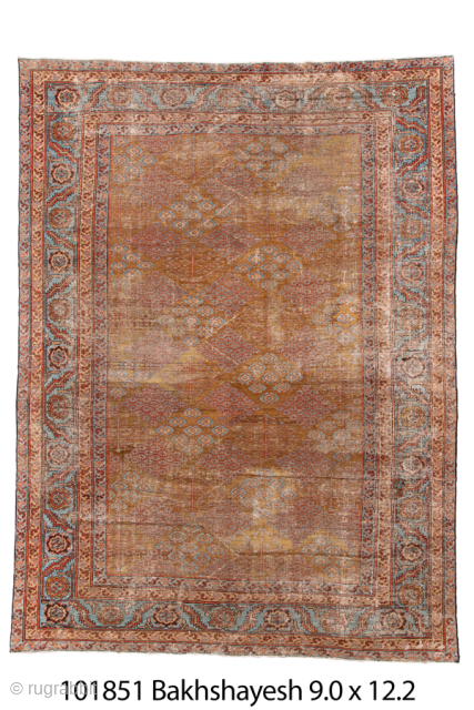 Antique Persian Bakhshayesh Carpet, Circa 1900. Features a softly aged camel field adorned with delicate repeating geometric floral motifs, framed by an elegant pale blue border.

9'0" x 12'2"

Item No: 101851   