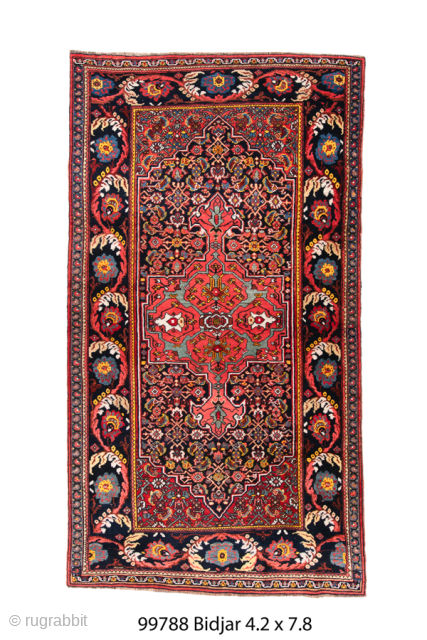 Antique Persian Bidjar Runner, Circa 1910. Vibrant crimson geometric medallion on a deep midnight-blue Herati field framed by a dramatic turtle-palmette border.