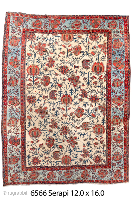 Antique Persian Serapi Carpet, Circa 1900. Rare allover floral design woven across a luminous ivory field framed by a striking sky-blue border.
12'0" x 16'0"
Item No: 6566