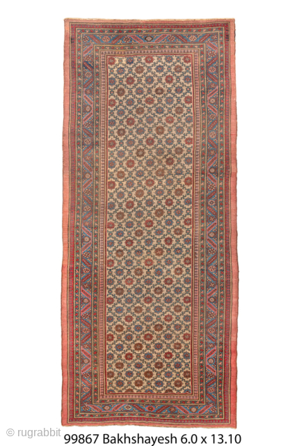 Antique Persian Bakhshayesh Gallery Carpet, Circa 1900. Rare allover lattice of stylized rosettes woven across a warm ivory field.
6'0" x 13'10"
Item No: 99867
