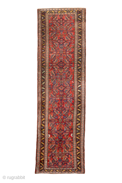 Antique Persian Bidjar Runner, Circa 1920. Finely woven allover Herati pattern across a vibrant terracotta field framed by richly detailed navy borders.
3'5" x 11'8"
Item No: 101910