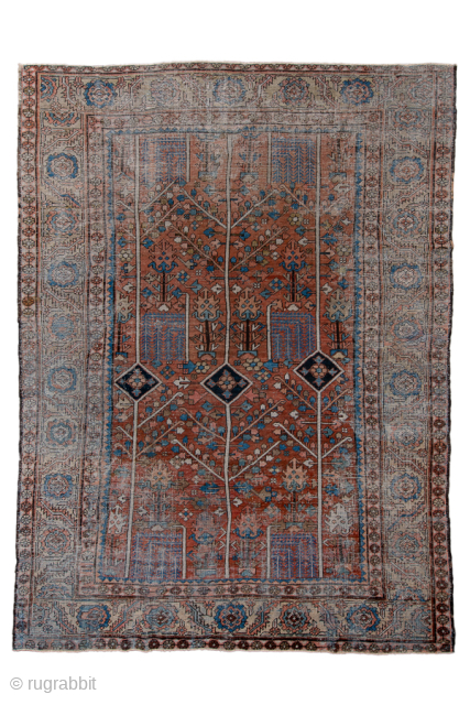 Antique Persian Serapi Carpet, Circa 1900. Showcases a rare allover Tree of Life design with stylized flowering trees and geometric motifs woven across a warm terracotta field.
8'0" x 10'9"
Item No: 97182