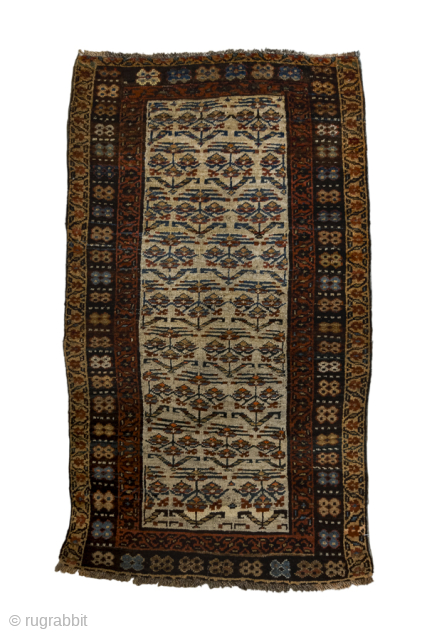 Antique Persian Bidjar Carpet, Circa 1920. Rare allover floral plant design woven across an ivory field and framed by richly detailed geometric borders.
3'8" x 6'4"
Item No: 97429