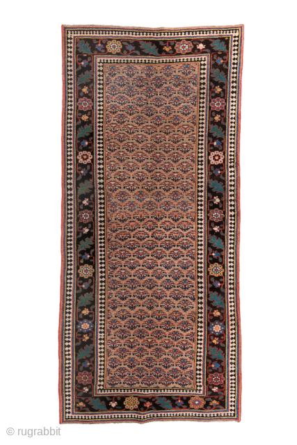 Antique Persian Bidjar Rug, Circa 1910. Rare allover Mina Khani-inspired lattice of stylized floral motifs woven across a warm ivory field framed by a striking midnight blue floral border.
4'1" x 9'0"
Item No: ...