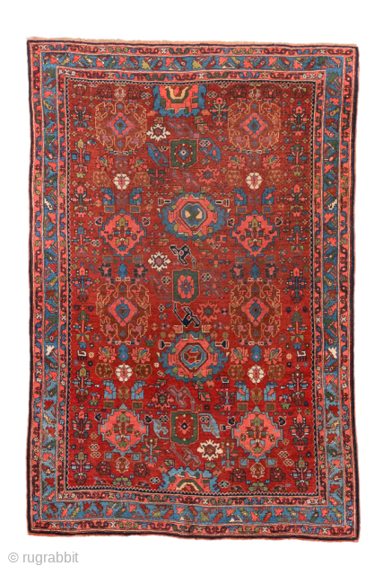 Antique Persian Bidjar Carpet, Circa 1910. Vibrant allover Herati pattern woven across a rich terracotta field framed by an eye-catching sky-blue floral border.
4'5" x 6'8"
Item No: 99576