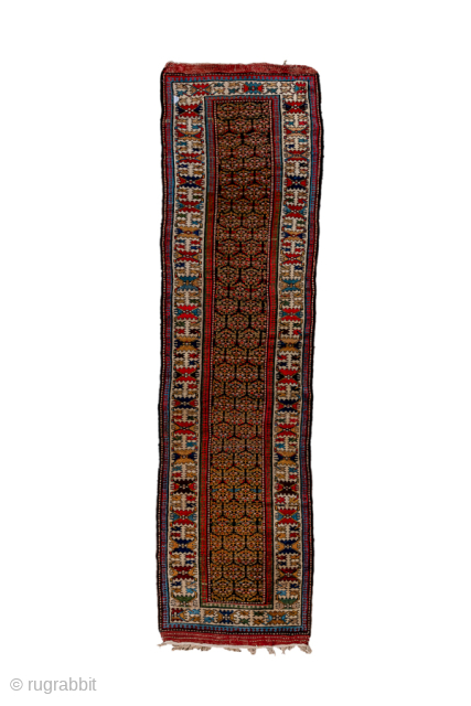 Antique Persian Kurdish Runner, Circa 1900. Finely drawn allover floral design on a deep brown-black field framed by a distinctive ivory geometric border.
3'6" x 13'2"
Item No: 95605
