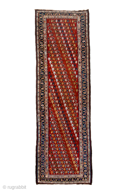 Antique Persian Kurdish Runner, Circa 1900. Dense allover boteh pattern across a rich madder-red field.
3'6" x 10'10"
Item No: 99581