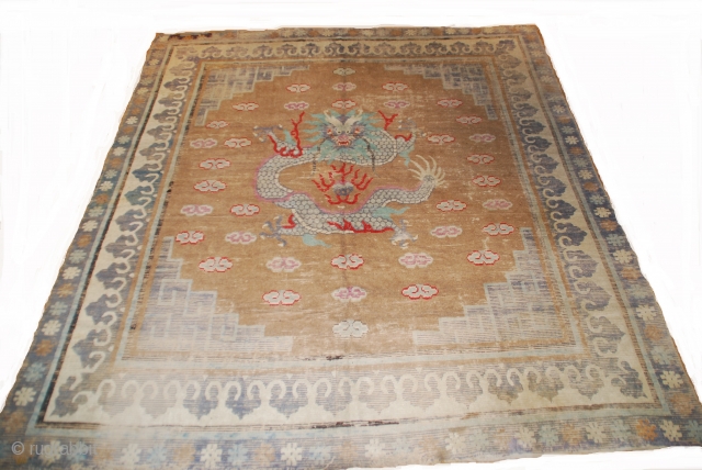 Tapis dragon Mongol XIXème , 345cmX315cm.                           