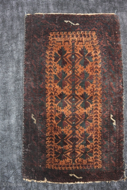 Beluch Rug.

Size: 0,75 cm x 0,56 cm
                          