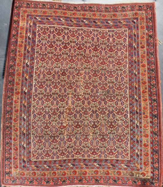 Wonderful antique afshar with rare floral design  finely woven  circa 1880, all dyes natural, original flat weave ends and original sides, in lovely condition ( ! old 5cm . 3repairs  ...